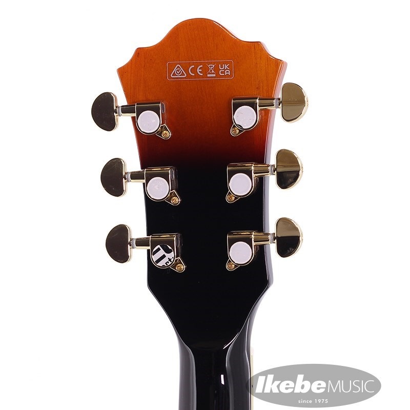 Ibanez AS113-BS 【特価】 |イケベ楽器店オンラインストア Ibanez AS113-BS 【特価】 |イケベ楽器店オンラインストア