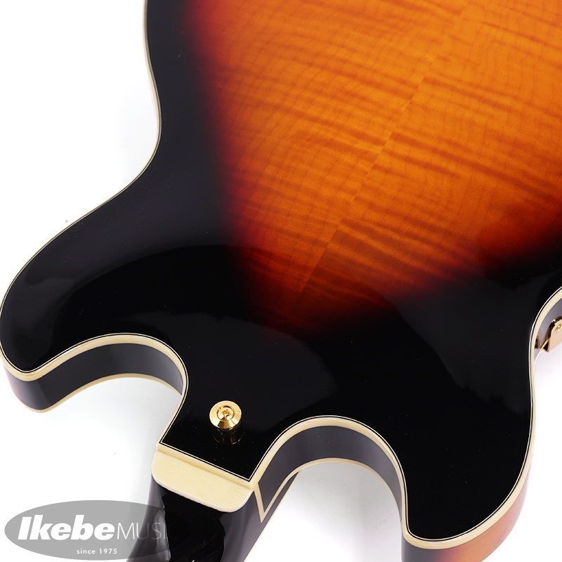 Ibanez AS113-BS 【特価】 ｜イケベ楽器店オンラインストア