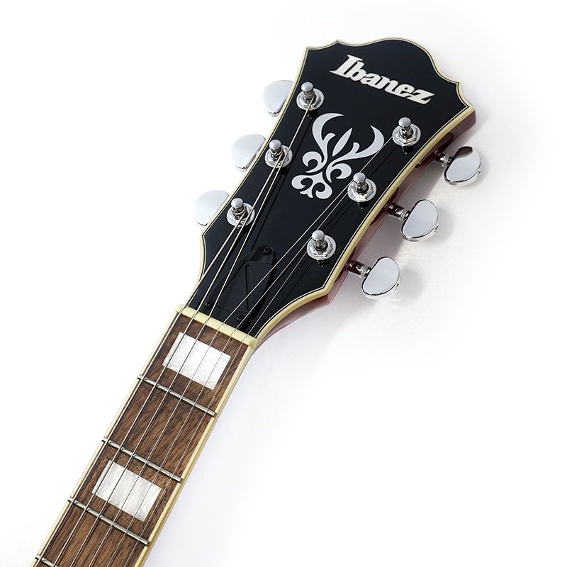 Ibanez AS73-TCD【特価】 ｜イケベ楽器店オンラインストア