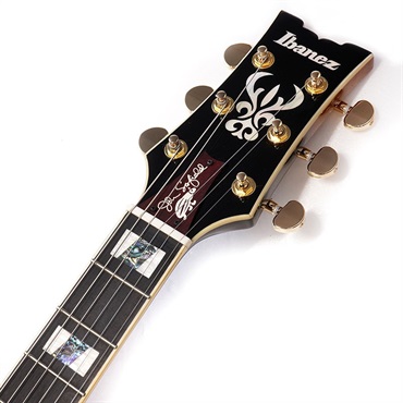 Ibanez SIGNATURE MODEL John Scofield JSM10-VYS (Vintage