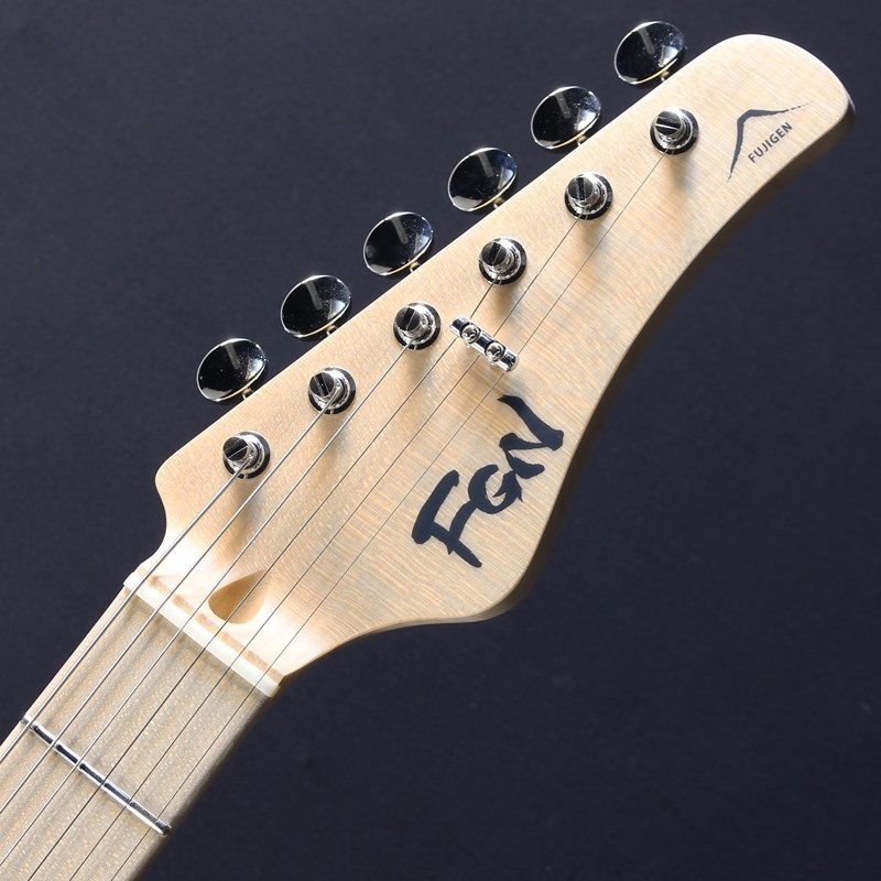 FUJIGEN Expert ODYSSEY EOS2-ASH-M (White Blonde) #K240330