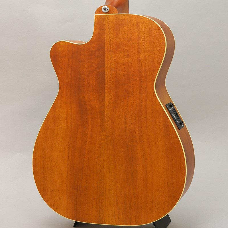 MATON EBG808C TE - Tommy Emmanuel - メイトン 画像1