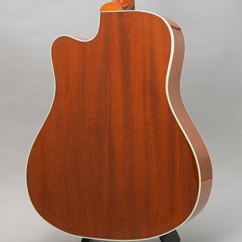 Gibson Hummingbird Standard EC ギブソン 画像1