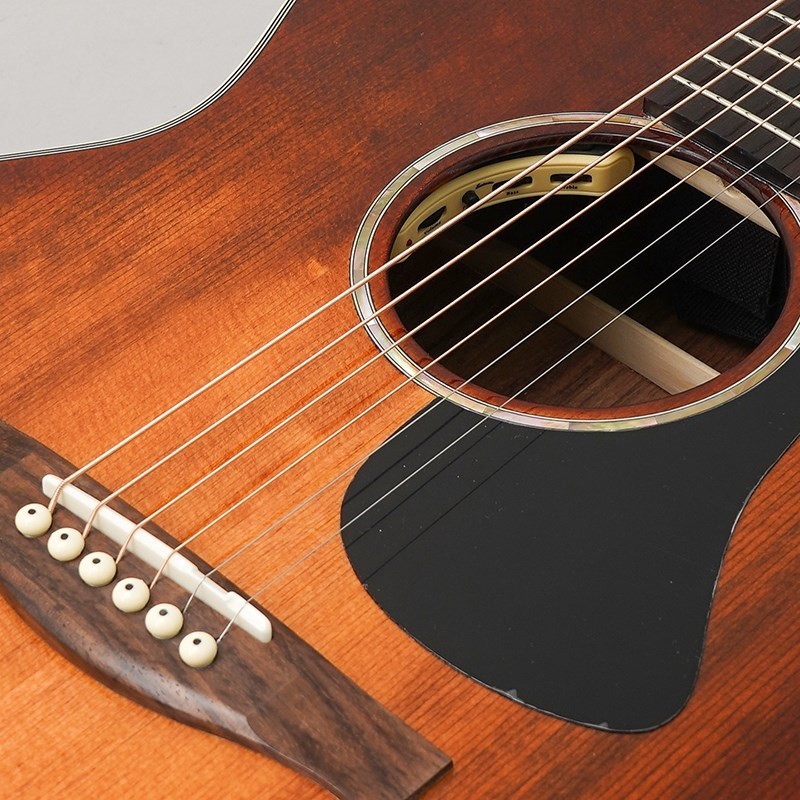 EASTMAN PCH2-GACE-CLA イーストマン 画像6