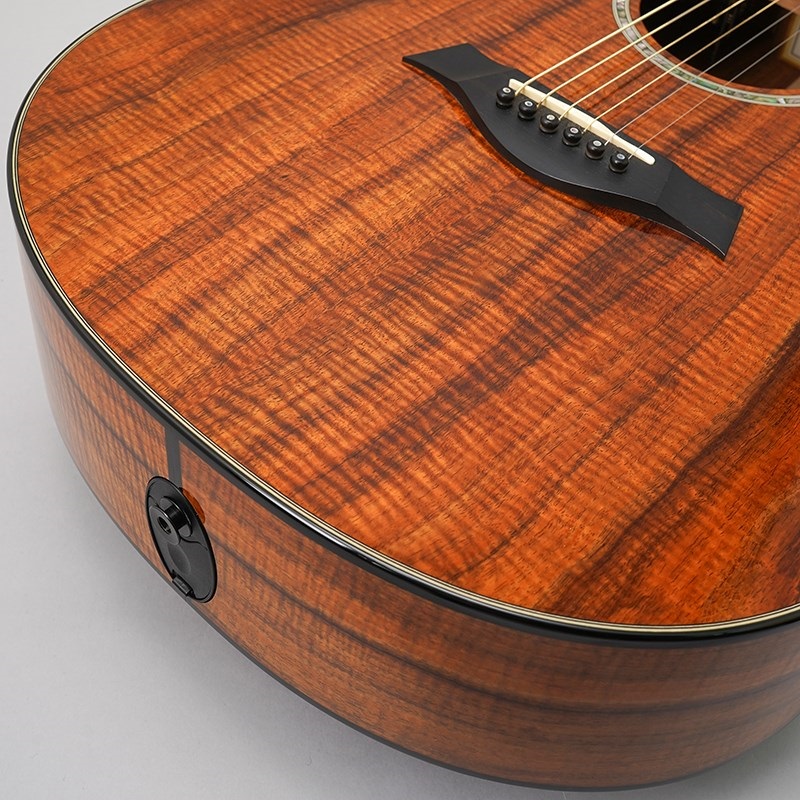 TAYLOR USED 中古 K22ce Japan LTD '16 テイラー 画像7