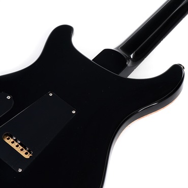 P.R.S. Special Semi-Hollow (Gray Black) [SN. 0394858] 【2024年生産モデル】 画像5