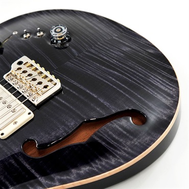 P.R.S. Special Semi-Hollow (Gray Black) [SN. 0394858] 【2024年生産モデル】 画像10