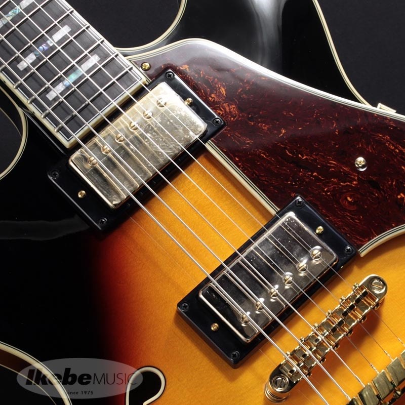 Ibanez - 学費が払えなくなった留学が愛棒のギターをお売りします。 - 弦楽器、ギター