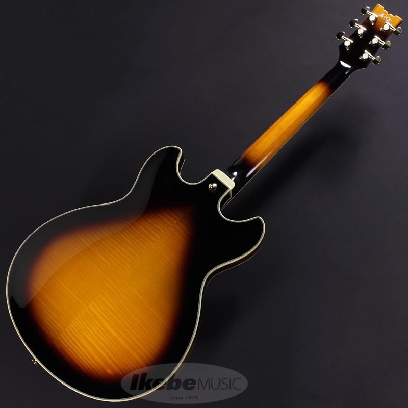Ibanez JSM10-VYS【特価】 ｜イケベ楽器店オンラインストア