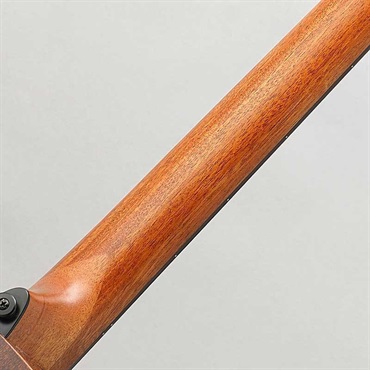 LAG 【数量限定特価】【創業50周年大決算SALE】TRAMONTANE T118ACE-BRS ラグ 画像7