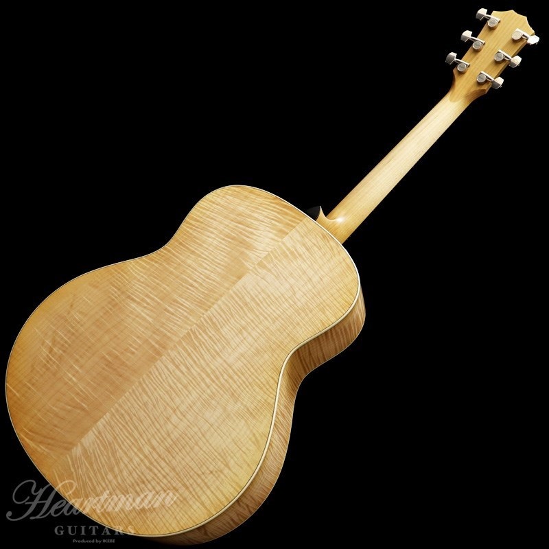 TAYLOR 618e【お取り寄せ】 テイラー 画像1