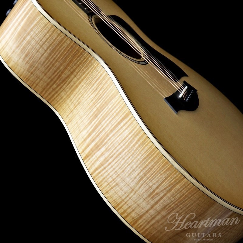 TAYLOR 618e【お取り寄せ】 テイラー 画像4