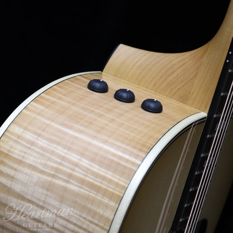 TAYLOR 618e【お取り寄せ】 テイラー 画像5
