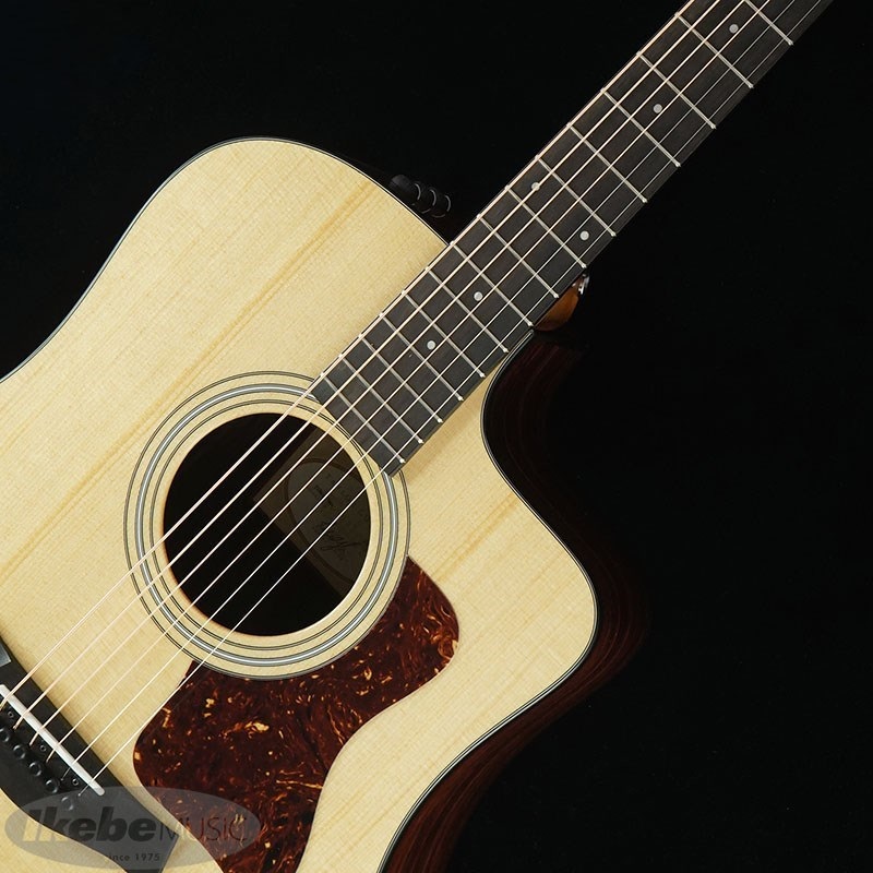 TAYLOR 210ce PLUS【お取り寄せ】 テイラー 画像3