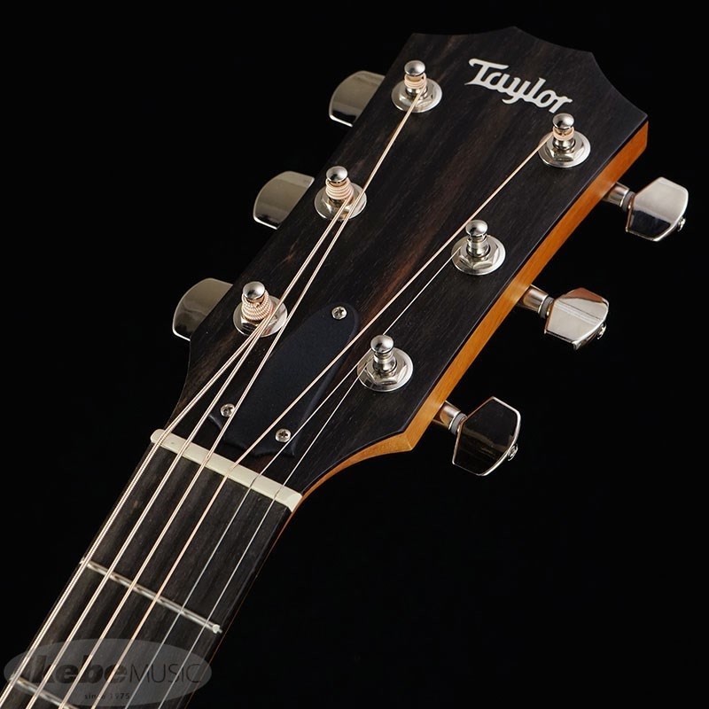 TAYLOR 210ce PLUS【お取り寄せ】 テイラー 画像5