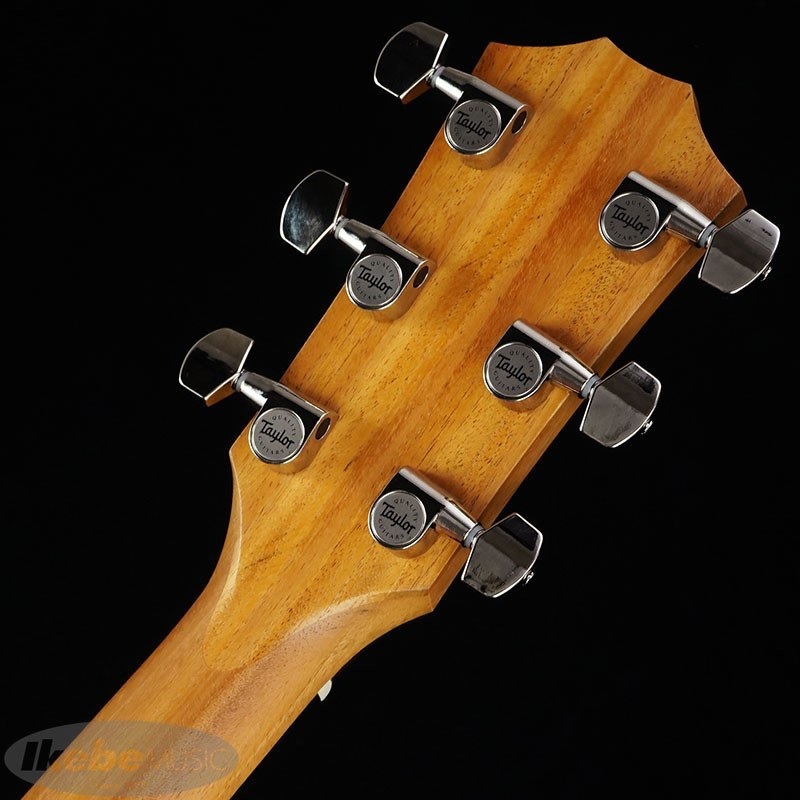 TAYLOR 210ce PLUS【お取り寄せ】 テイラー 画像6