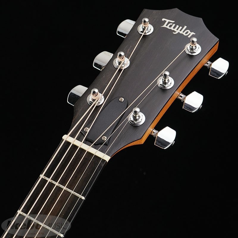 TAYLOR 210ce RW【お取り寄せ】 テイラー 画像5