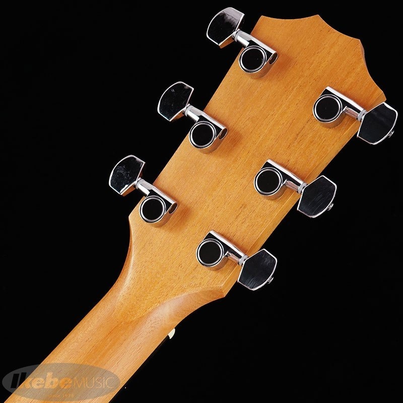 TAYLOR 210ce RW【お取り寄せ】 テイラー 画像6