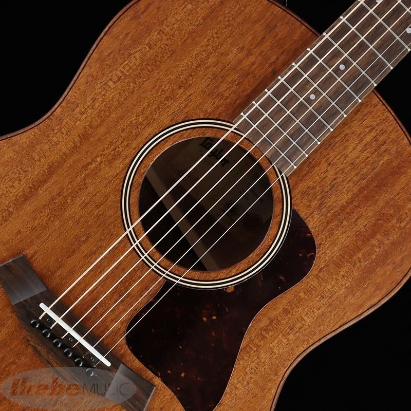 TAYLOR AD27e【お取り寄せ】 テイラー 画像2