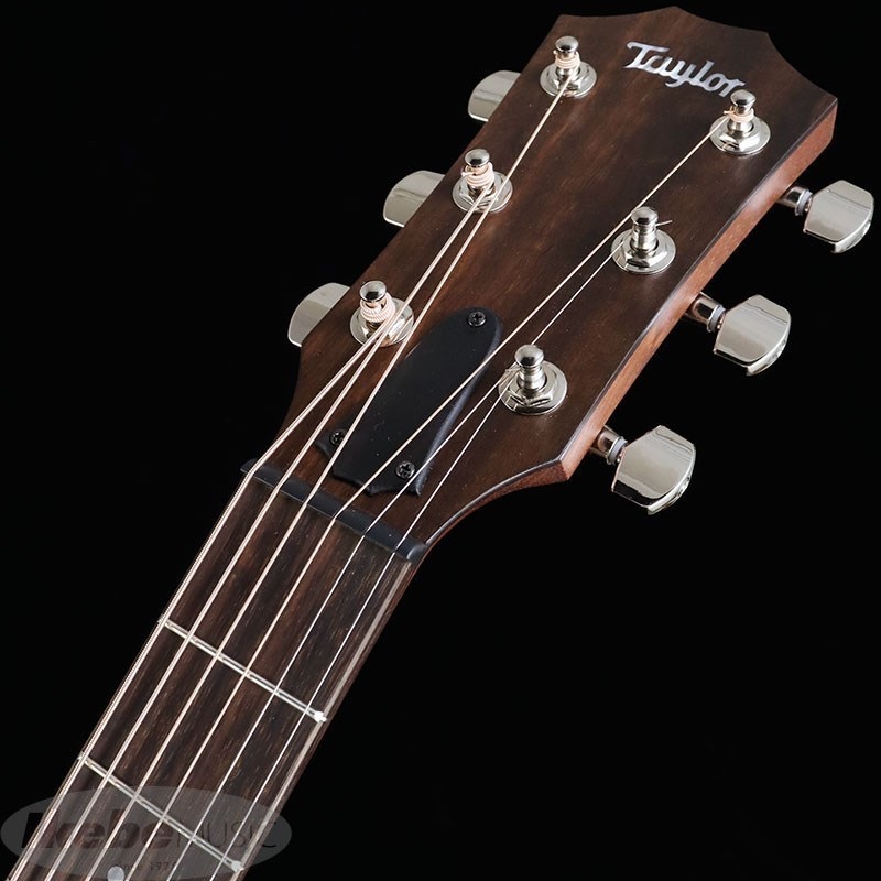 TAYLOR AD27e【お取り寄せ】 テイラー 画像5