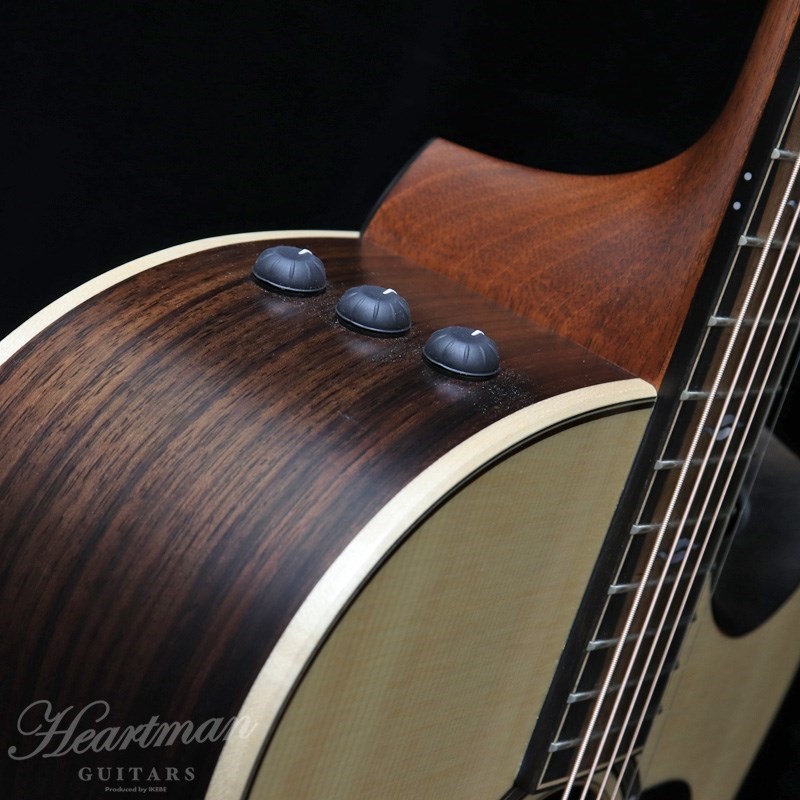 TAYLOR BE 816ce V-Class【お取り寄せ】 テイラー 画像4
