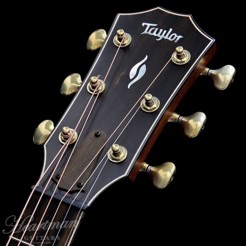 TAYLOR BE 816ce V-Class【お取り寄せ】 テイラー 画像6