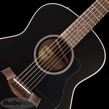 TAYLOR GT-e BLK Top【お取り寄せ】 テイラー 画像4