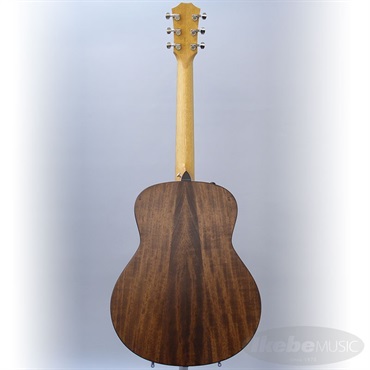 TAYLOR GT-e Urban Ash【お取り寄せ】 テイラー 画像3