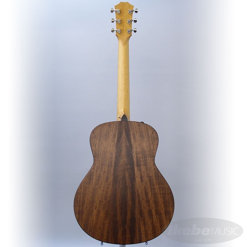 TAYLOR GT-e Urban Ash【お取り寄せ】 テイラー 画像3