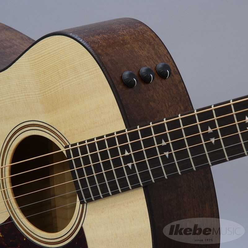 TAYLOR GT-e Urban Ash【お取り寄せ】 テイラー 画像6