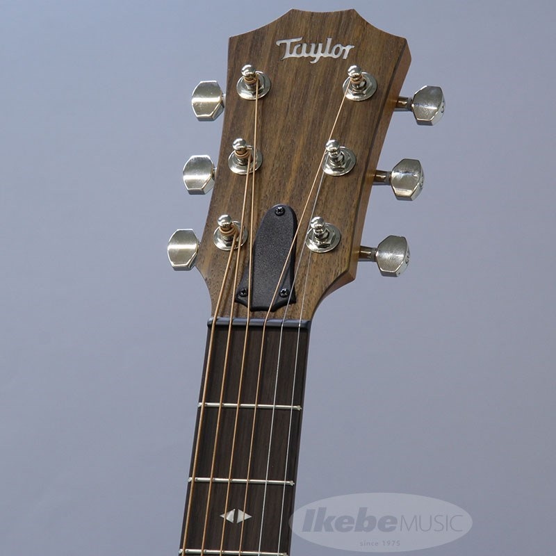 TAYLOR GT-e Urban Ash【お取り寄せ】 テイラー 画像7