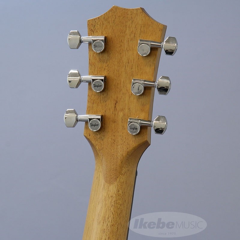 TAYLOR GT-e Urban Ash【お取り寄せ】 テイラー 画像8