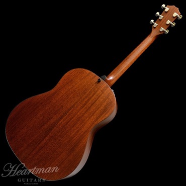 TAYLOR BE 517e V-Class【お取り寄せ】 テイラー 画像1
