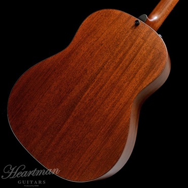 TAYLOR BE 517e V-Class【お取り寄せ】 テイラー 画像3