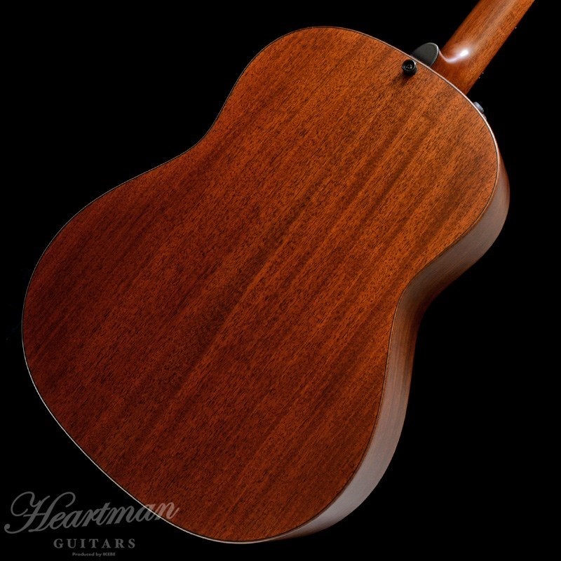 TAYLOR BE 517e V-Class【お取り寄せ】 テイラー 画像3
