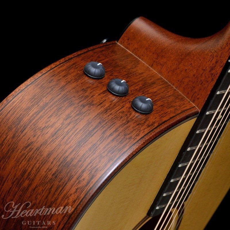 TAYLOR BE 517e V-Class【お取り寄せ】 テイラー 画像4
