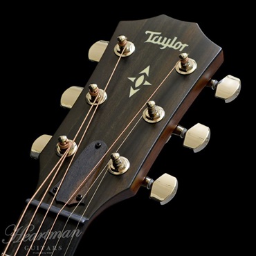 TAYLOR BE 517e V-Class【お取り寄せ】 テイラー 画像5