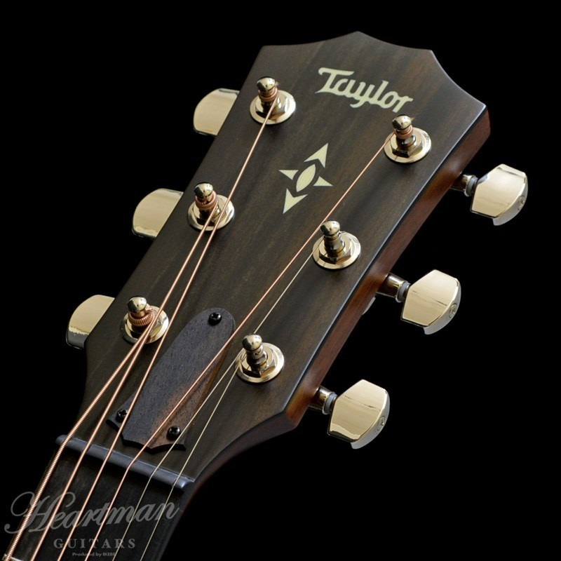TAYLOR BE 517e V-Class【お取り寄せ】 テイラー 画像5