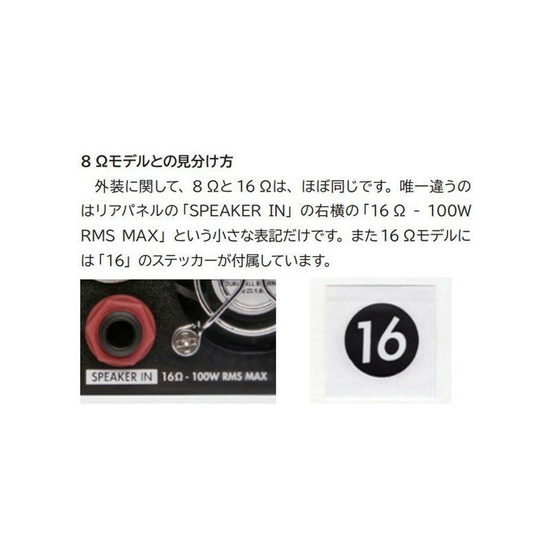 Two Notes Torpedo Captor X [16ohm]（トゥーノート） 画像3