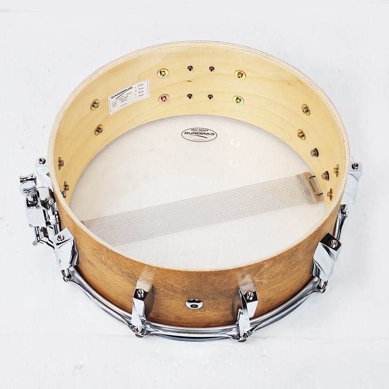 CANOPUS YBR-1455 [Maize Yellow Birch Snare Drum 14×5.5]【台数限定品】 画像8