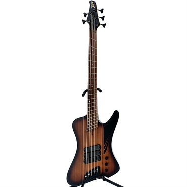 DINGWALL D-Roc Standard 5strings (Matte Vintageburst) 画像1