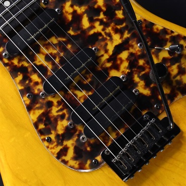 Valley Arts 【USED】M Series S7 (Amber) 画像3