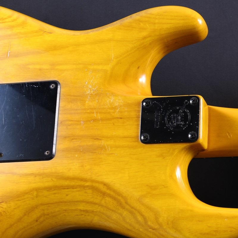 Valley Arts 【USED】M Series S7 (Amber) 画像7