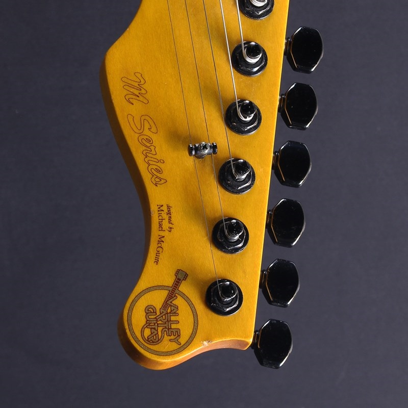 Valley Arts 【USED】M Series S7 (Amber) 画像8