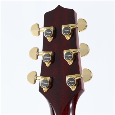 TAKAMINE DMP551C WR タカミネ 画像5