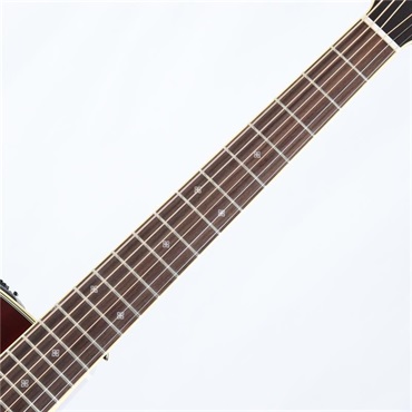 TAKAMINE DMP551C WR タカミネ 画像6