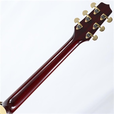 TAKAMINE DMP551C WR タカミネ 画像7
