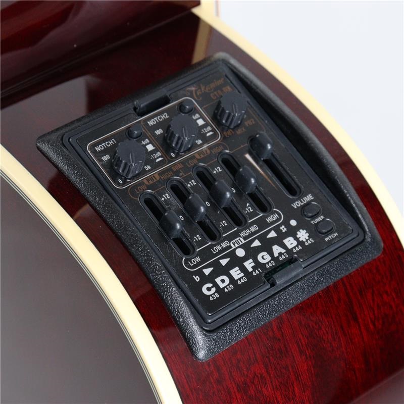 TAKAMINE DMP551C WR タカミネ 画像8