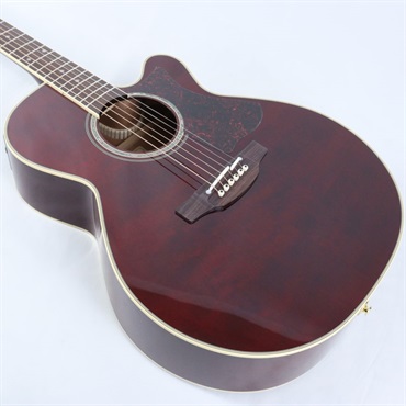 TAKAMINE DMP551C WR タカミネ 画像9