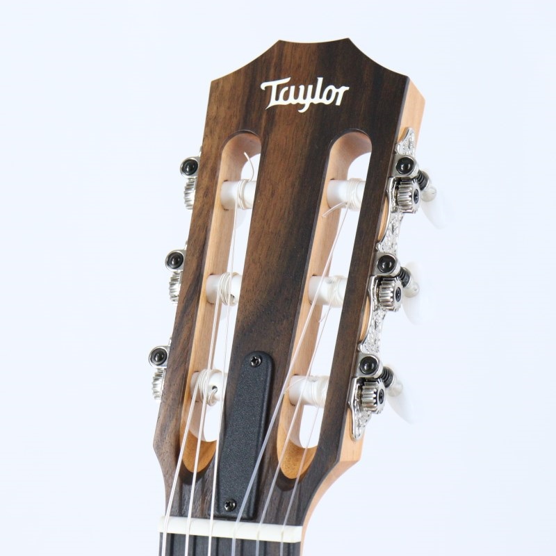 TAYLOR 112ce-N (エレガットモデル) テイラー 画像4